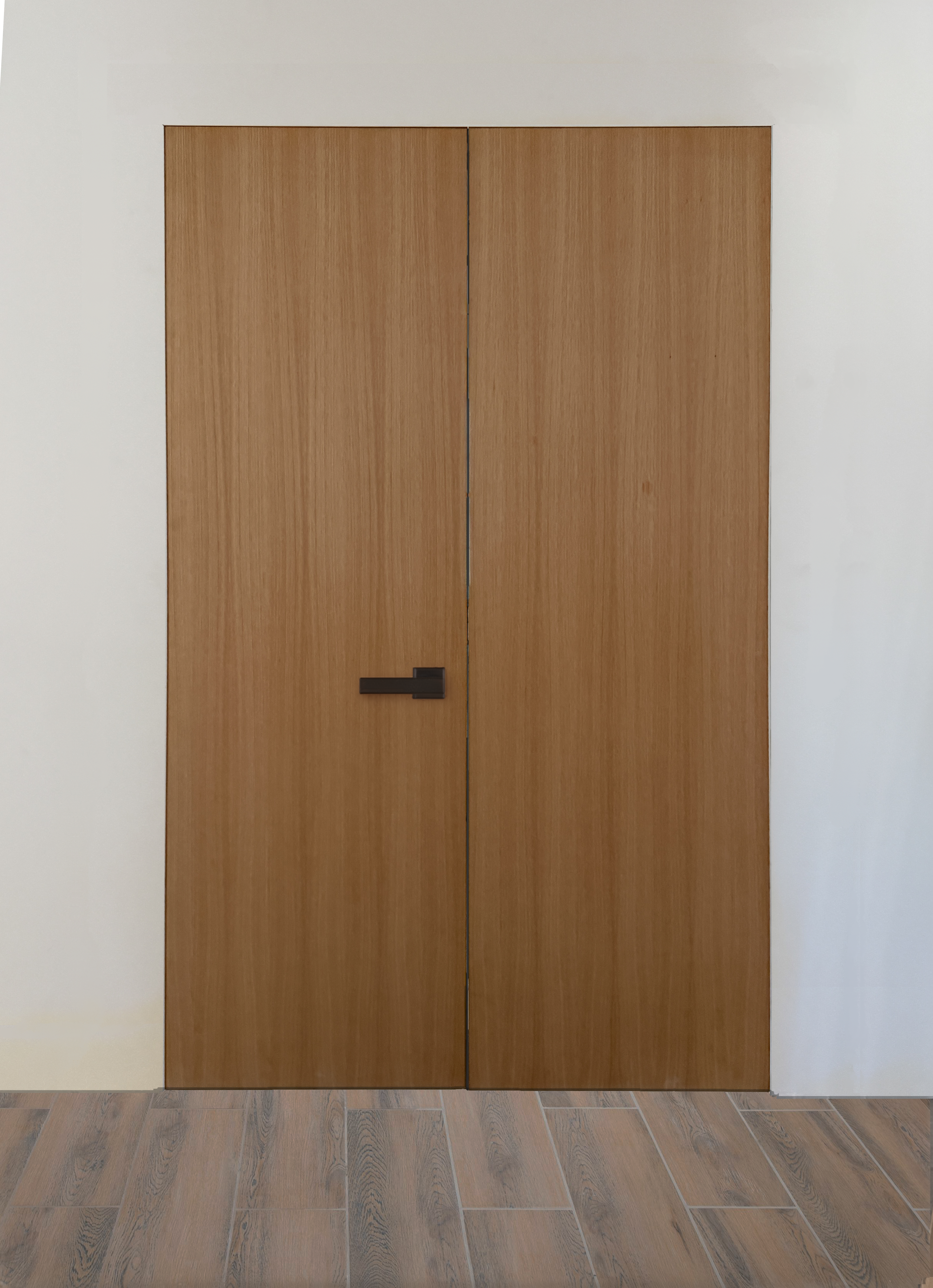 Interior Minimalist Zero Edge Door Jambs